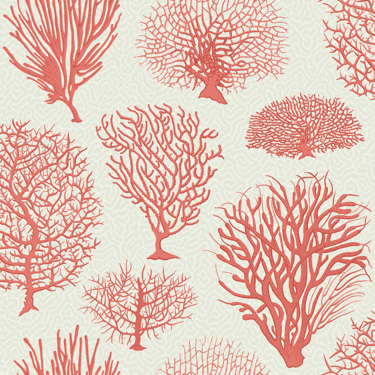 Seafern - Coral - COLE & SON Wallpaper