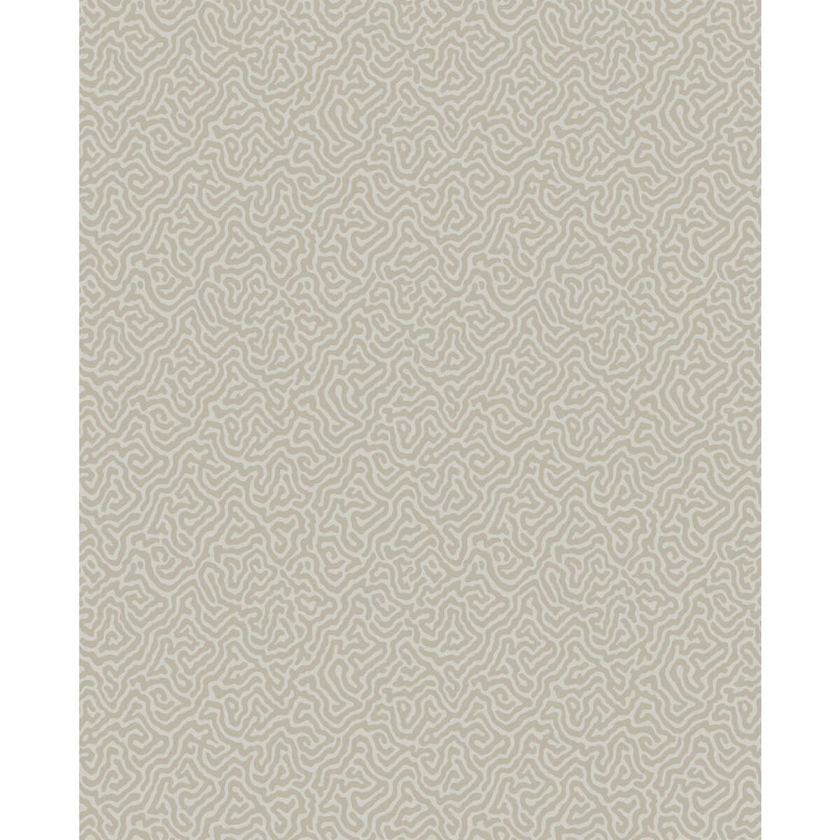 Vermicelli - Stone - COLE & SON Wallpaper