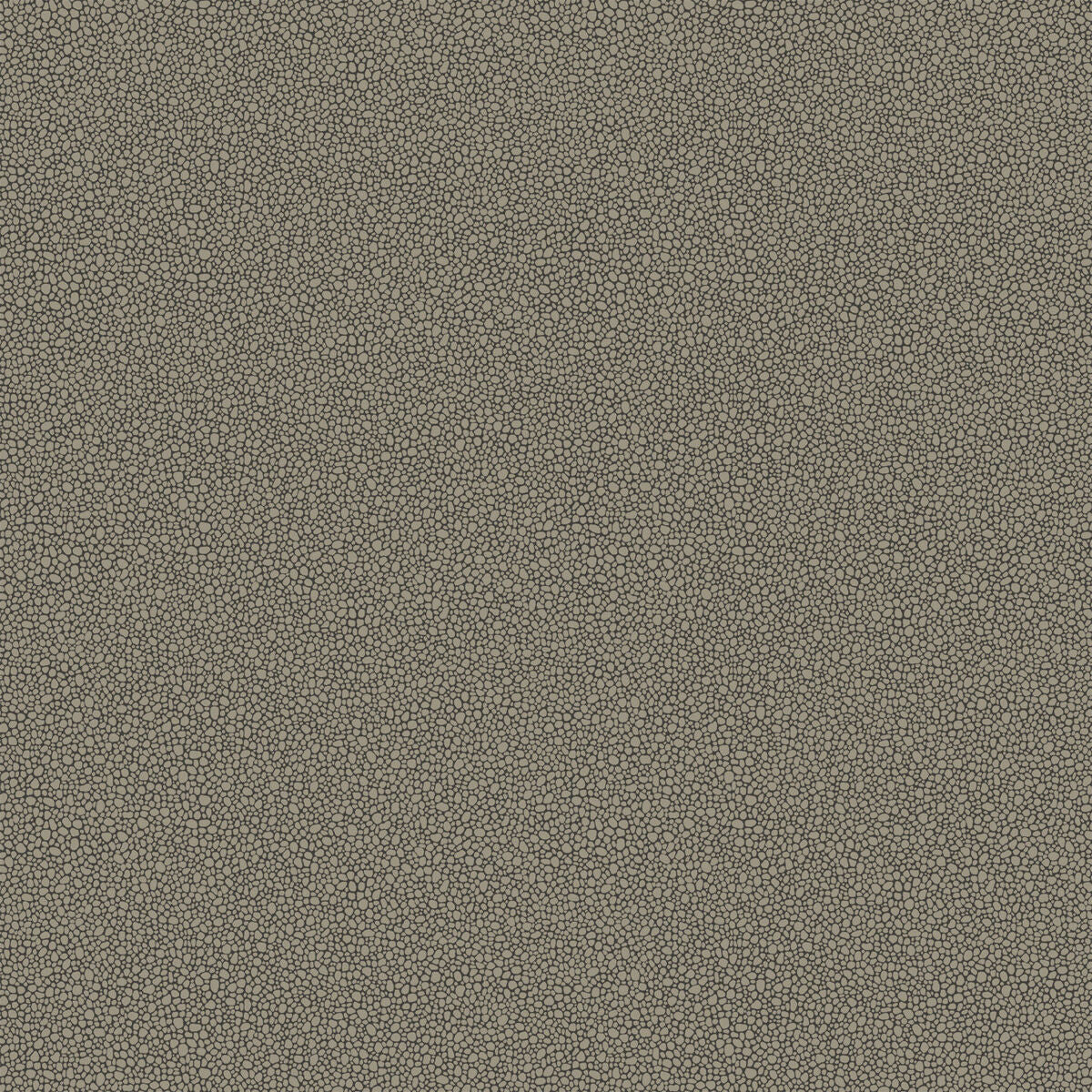 Goldstone - Black & Silver