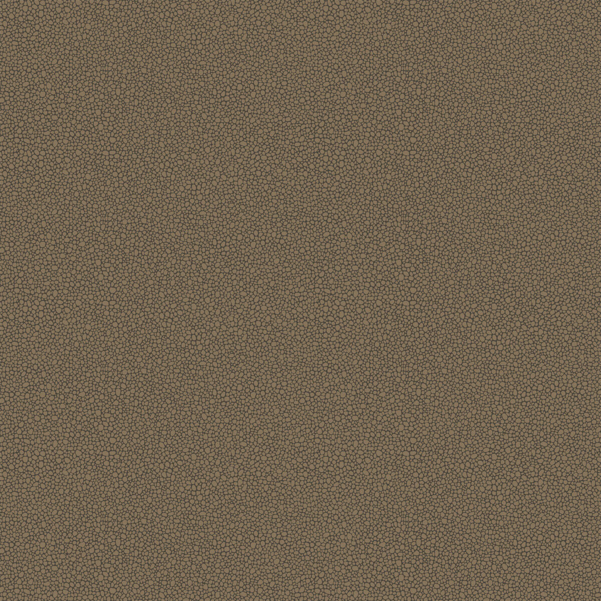 Goldstone - Black & Bronze - Cole & Son Wallpaper