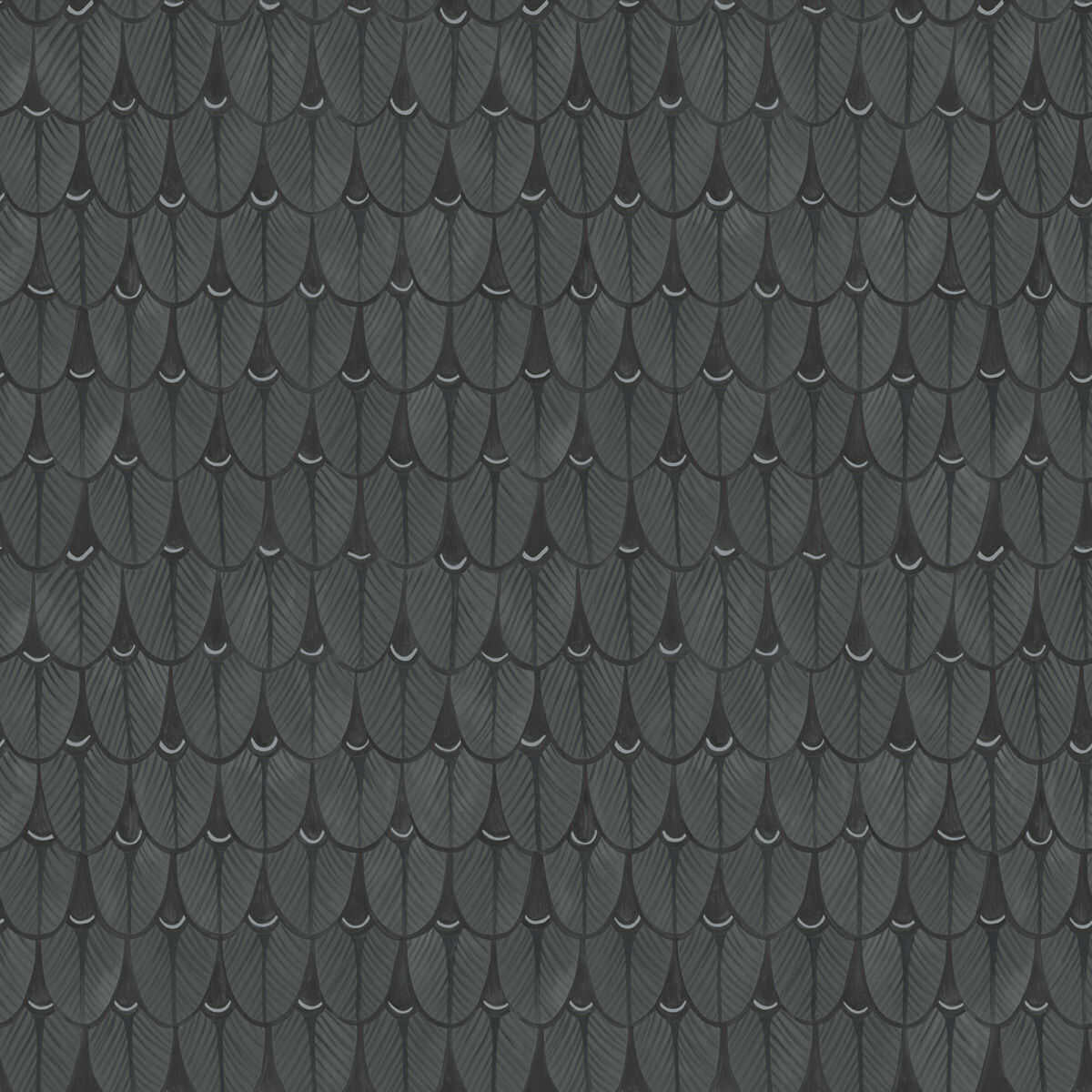 Narina - Charcoal - COLE & SON Wallpaper