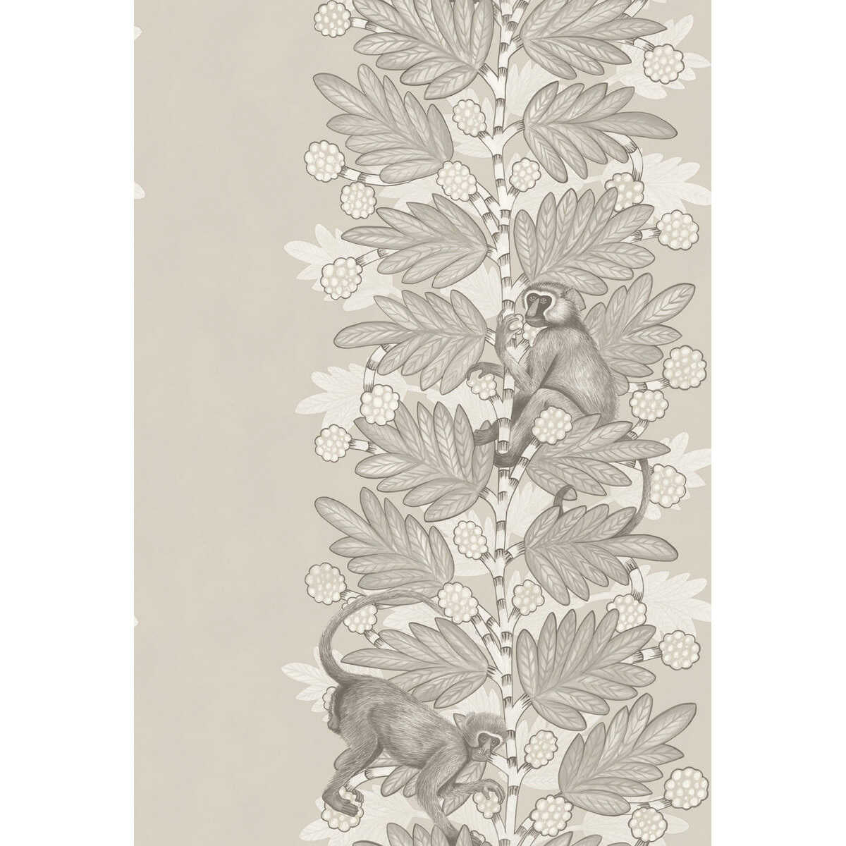 Acacia - Stone & White Berries