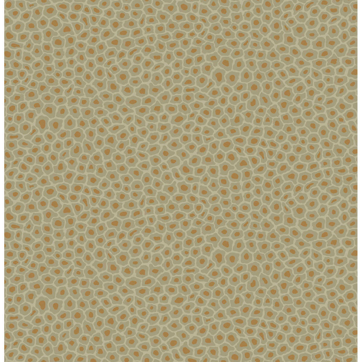 Senzo Spot - Olive - COLE & SON Wallpaper