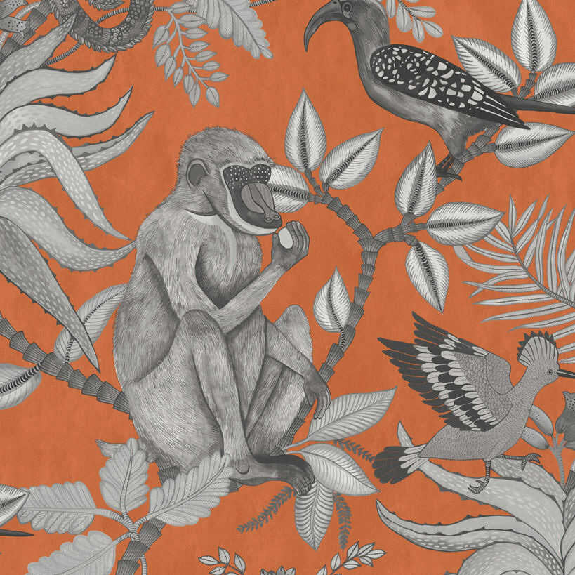 Savuti - Orange - COLE & SON Wallpaper