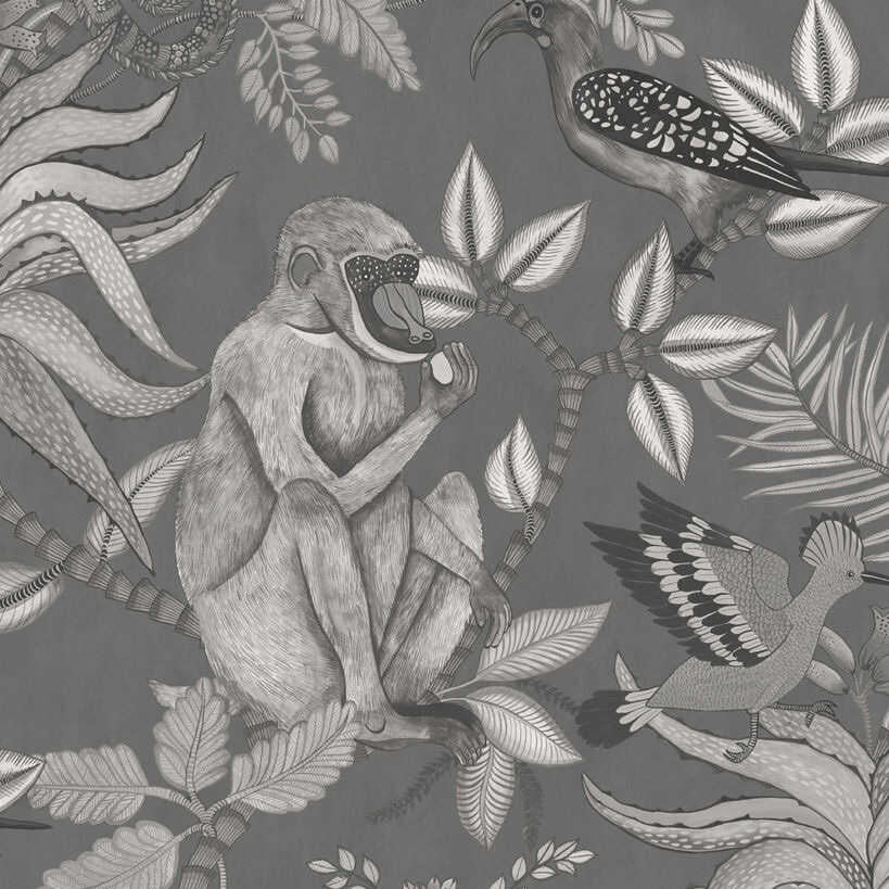 Savuti - Charcoal - COLE & SON Wallpaper