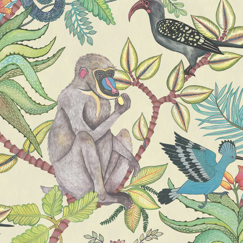 Savuti - Cream Multi - COLE & SON Wallpaper