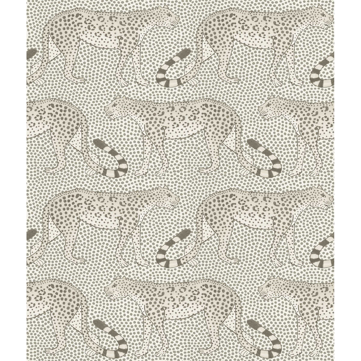 Leopard Walk - Black & White