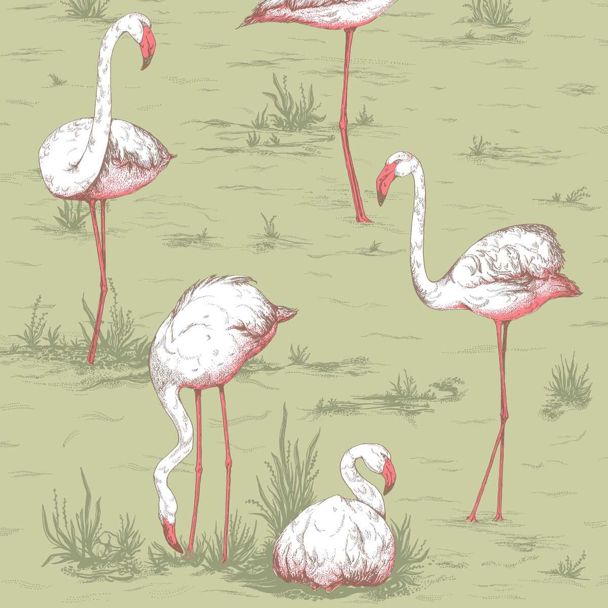 Flamingos - Olive - COLE & SON Wallpaper