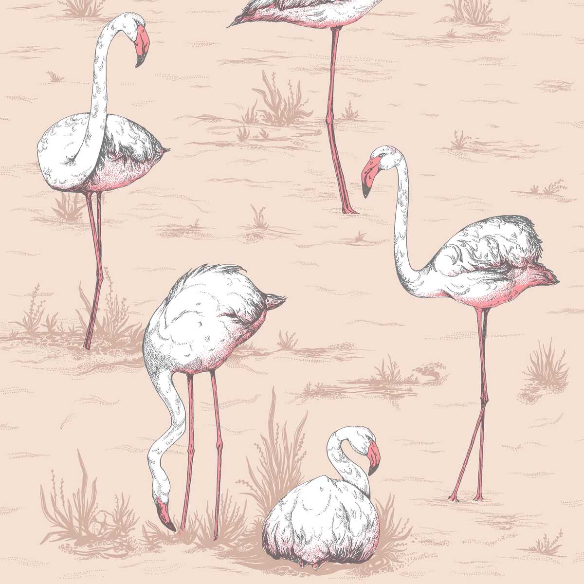 Flamingos - Plaster Pink - COLE & SON Wallpaper
