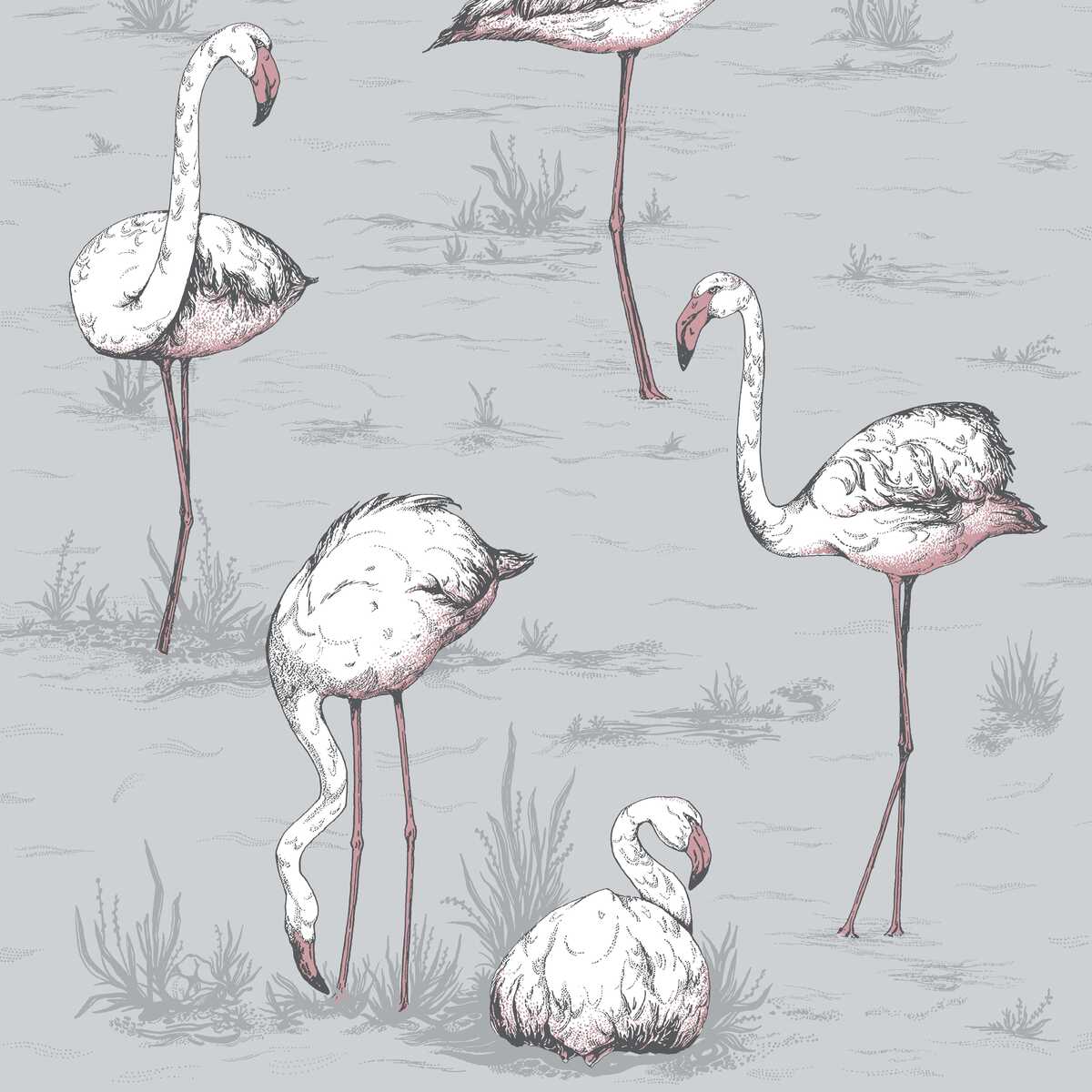 Flamingos - Grey - COLE & SON Papel pintado
