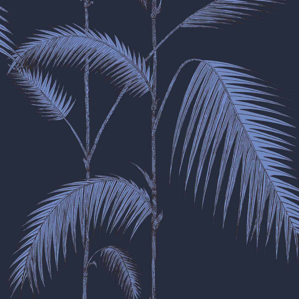 Palm Leaves - Ink - COLE & SON Wallpaper