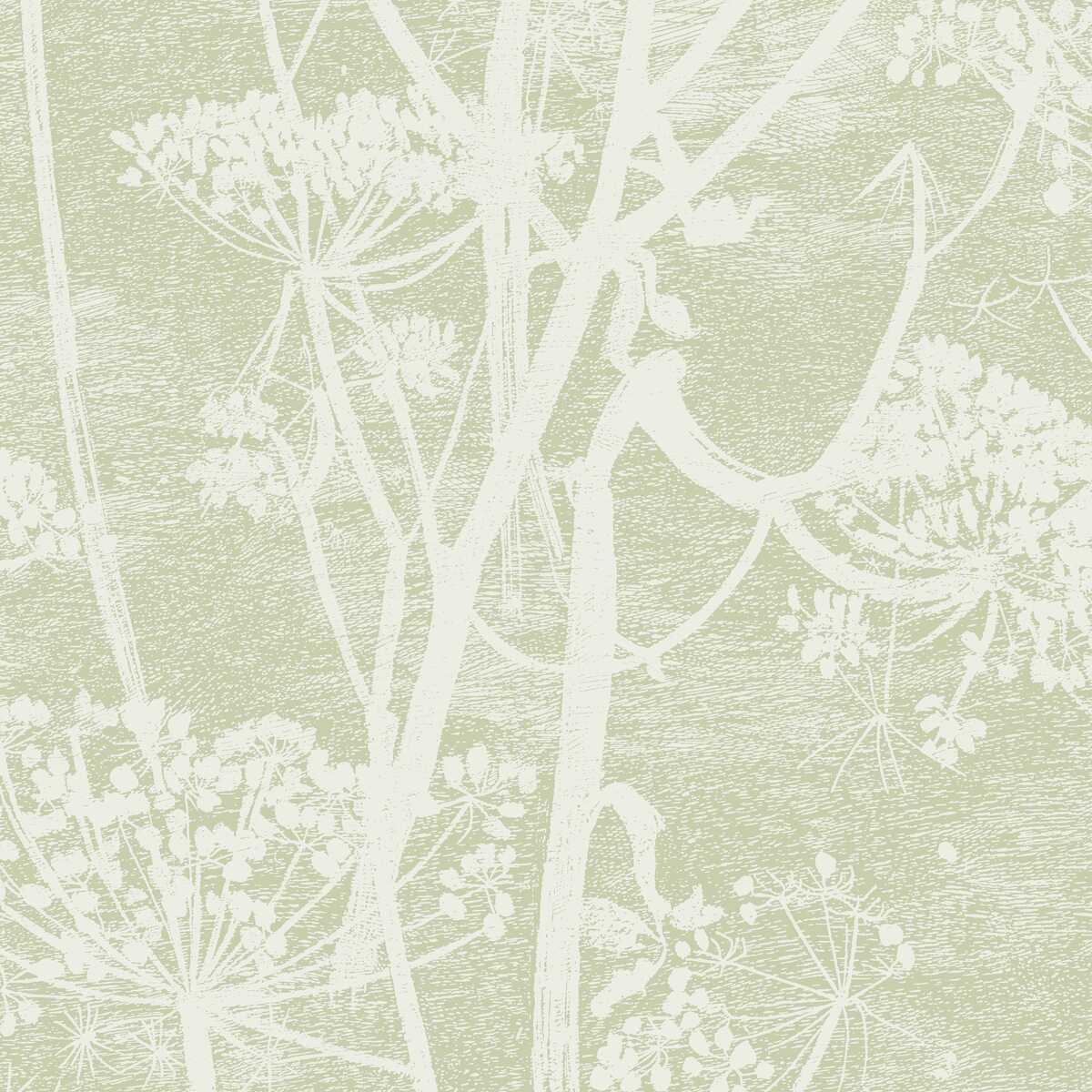 Cow Parsley - Olive - COLE & SON Wallpaper