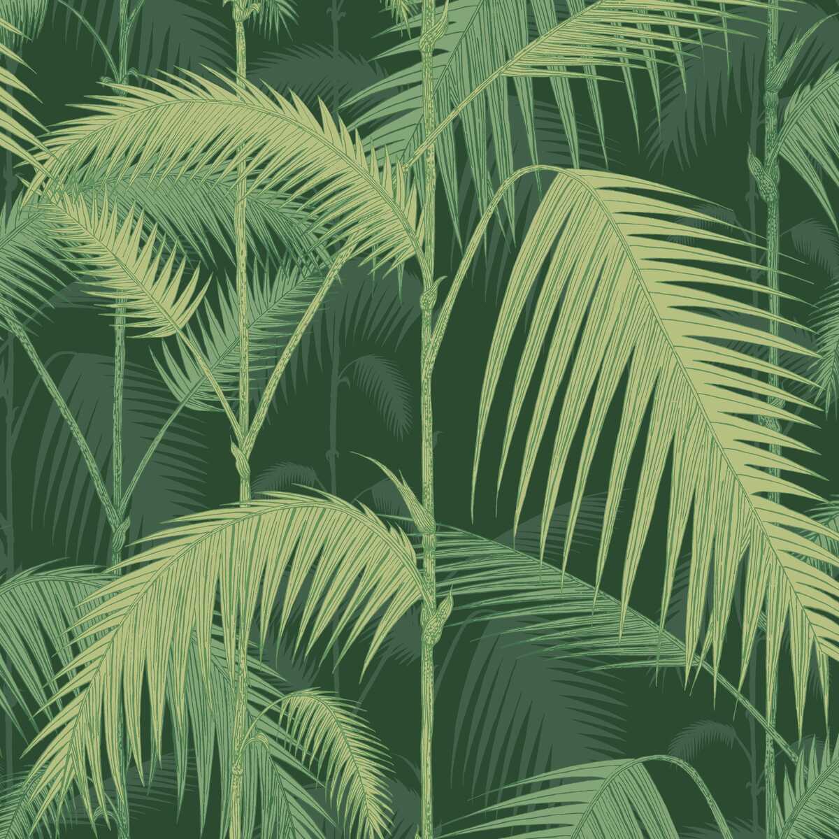 Palm Jungle - Leaf Green - COLE & SON Papel pintado