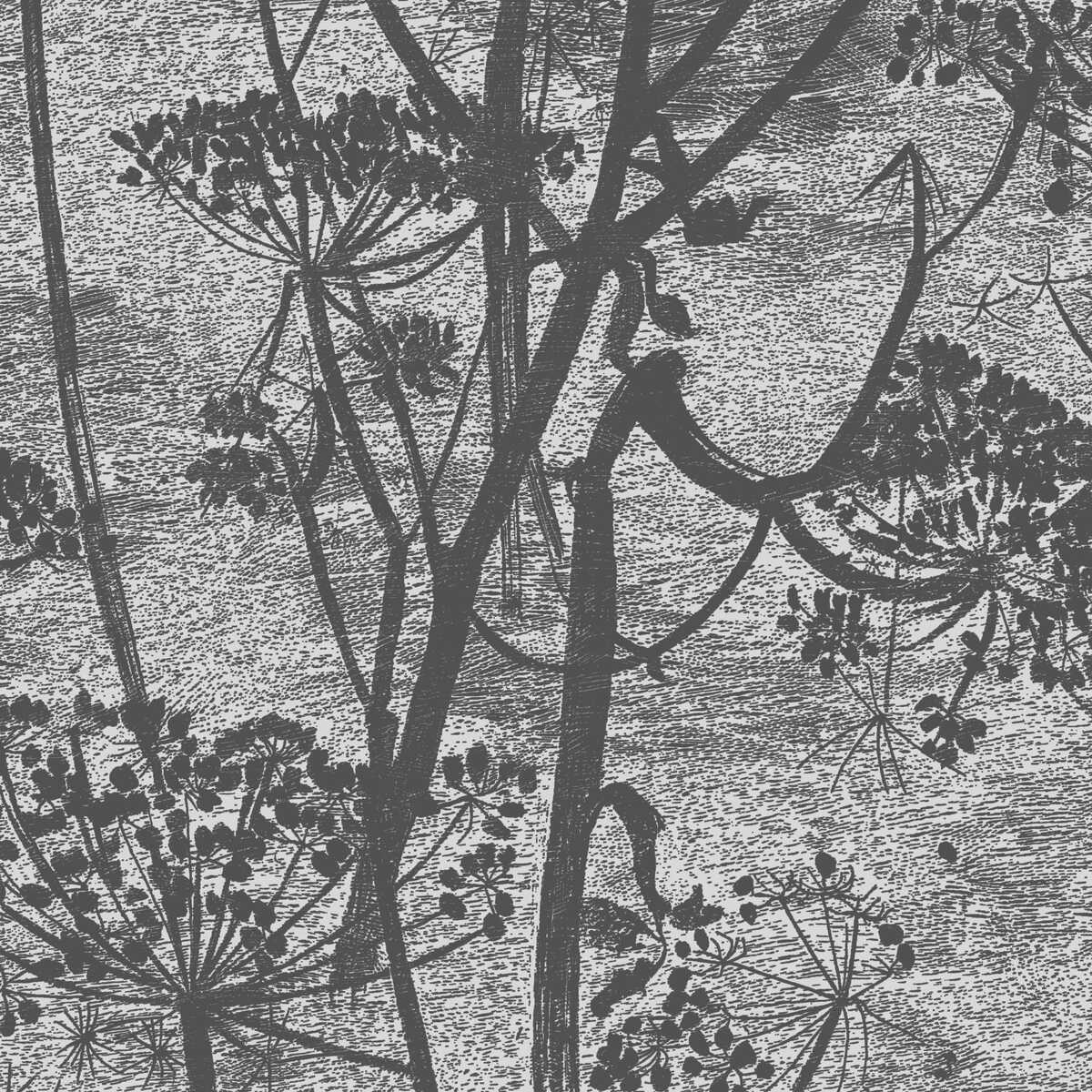 Cow Parsley - Charcoal - COLE & SON Wallpaper
