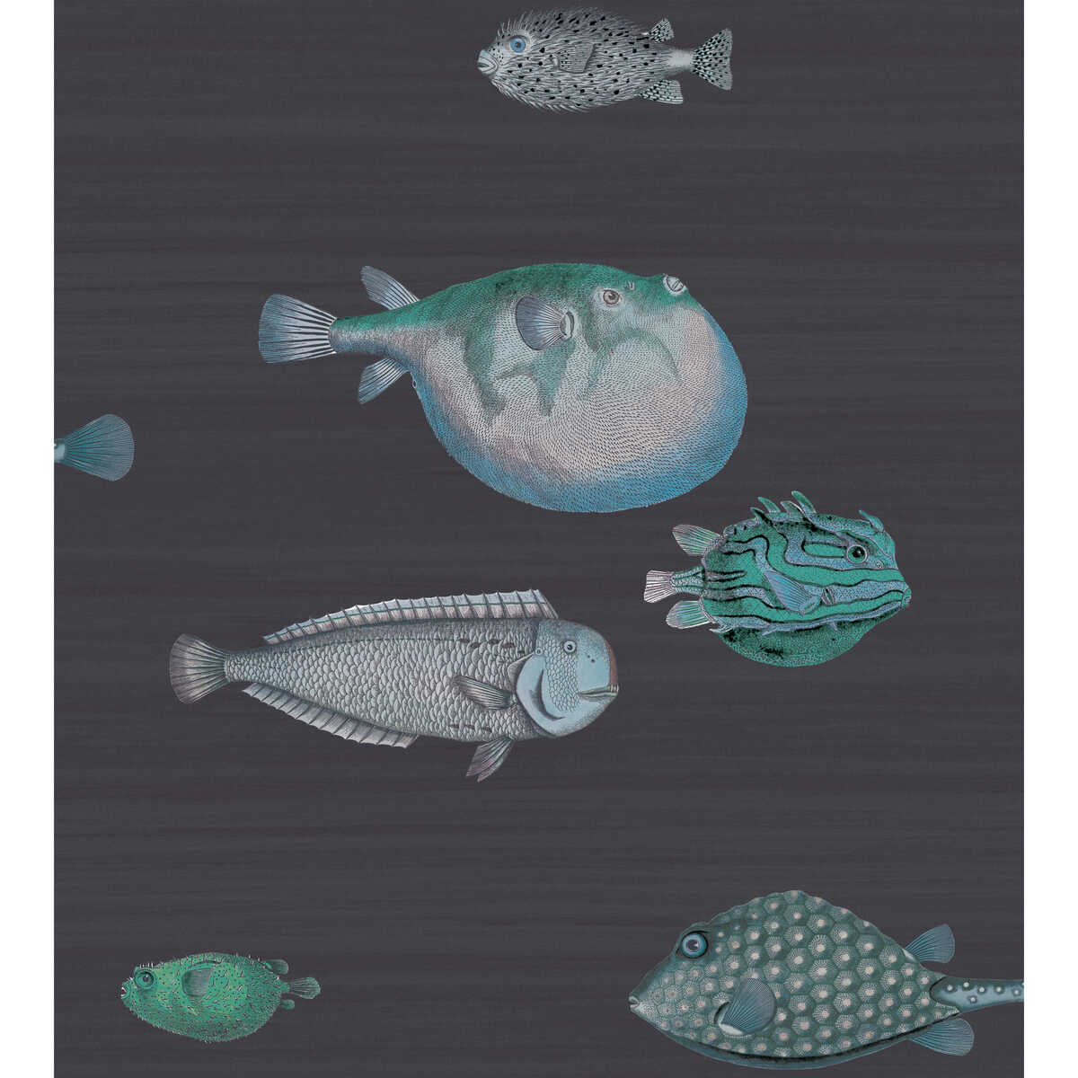 Acquario - Ink - COLE & SON Papel pintado