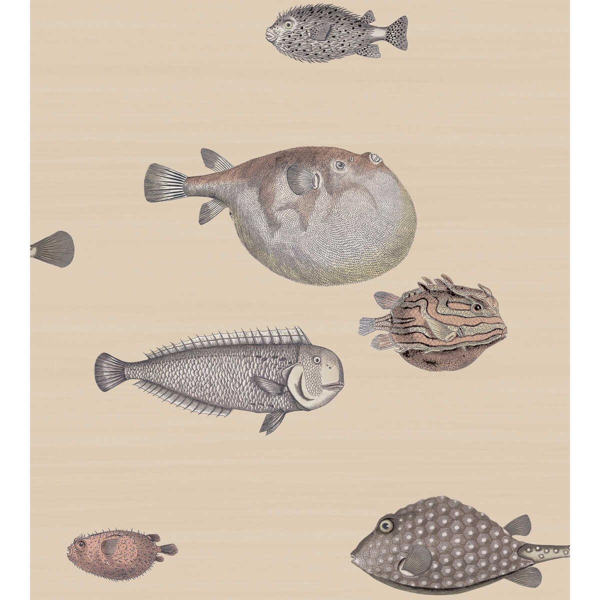Acquario - Taupe - COLE & SON Wallpaper