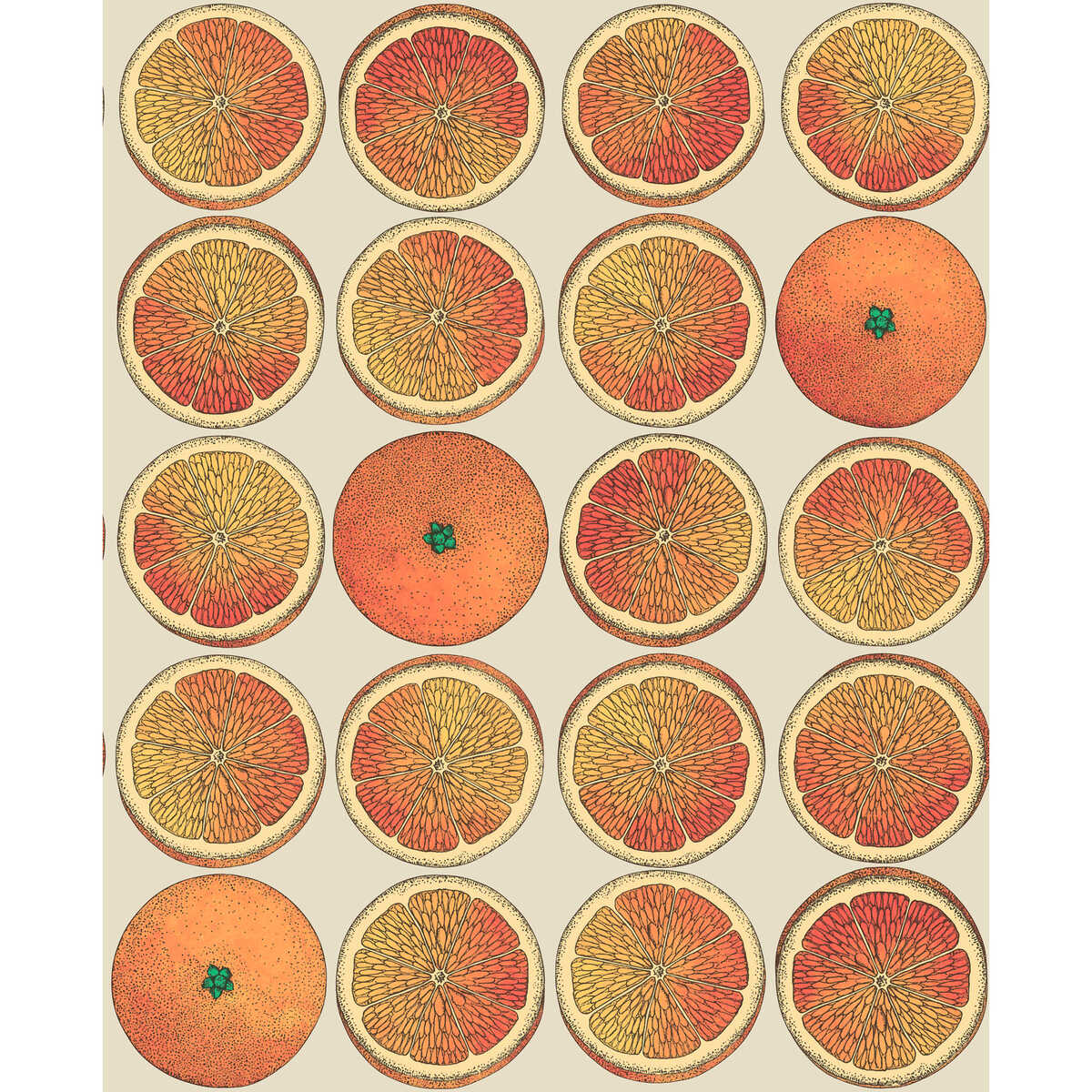 Arance - Orange/Cream