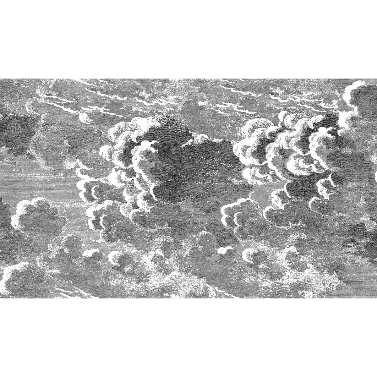 Nuvolette - Black/White - Cole & Son Wallpaper