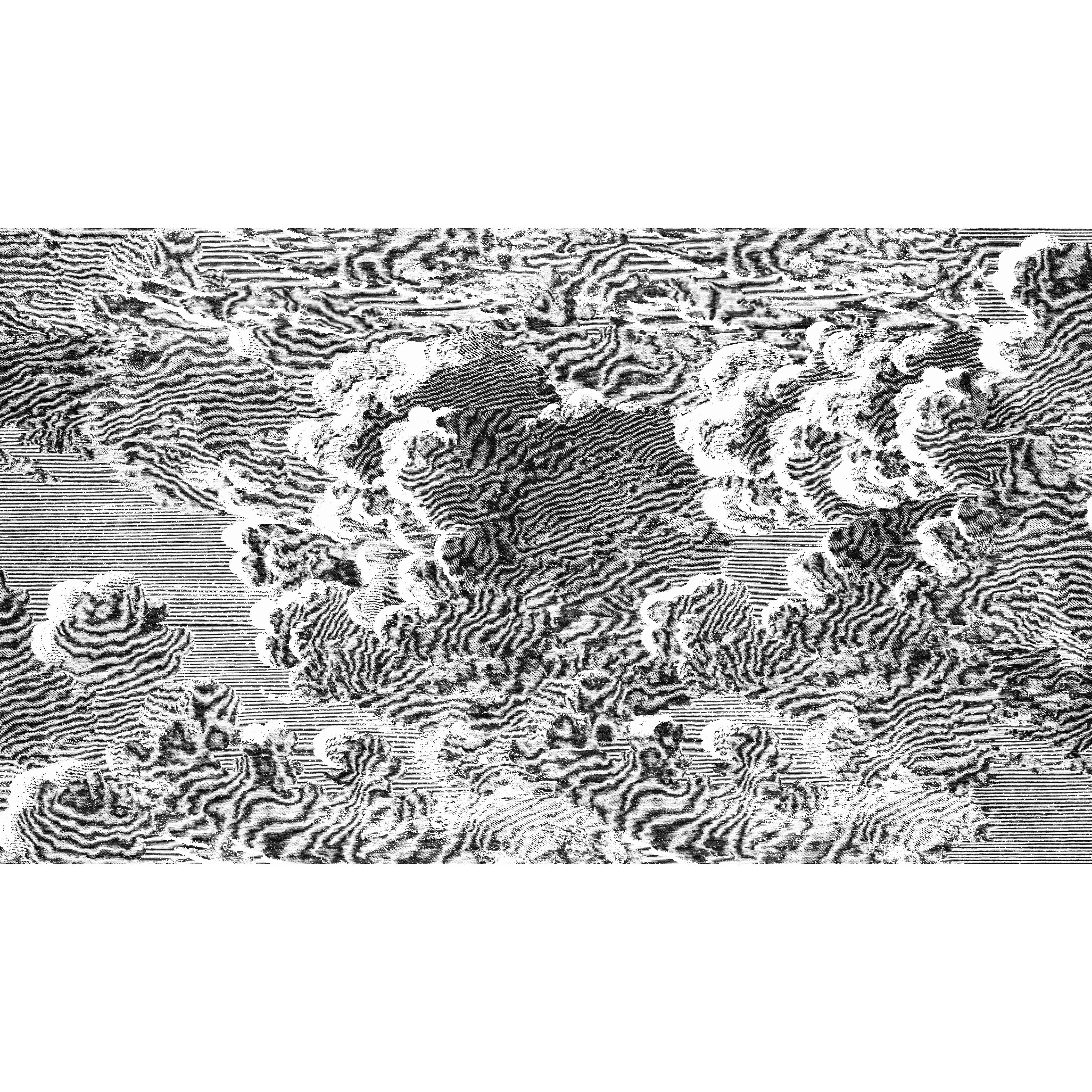 Nuvolette - Black/White - Cole & Son Wallpaper