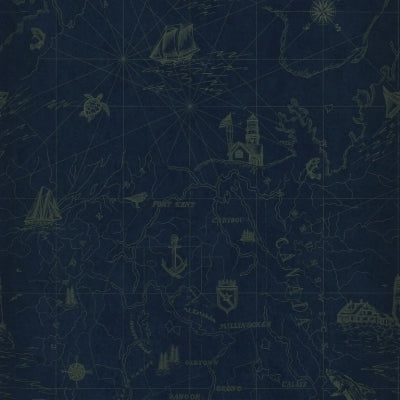 shipping-lanes-map-ralph-lauren-prl5027-04