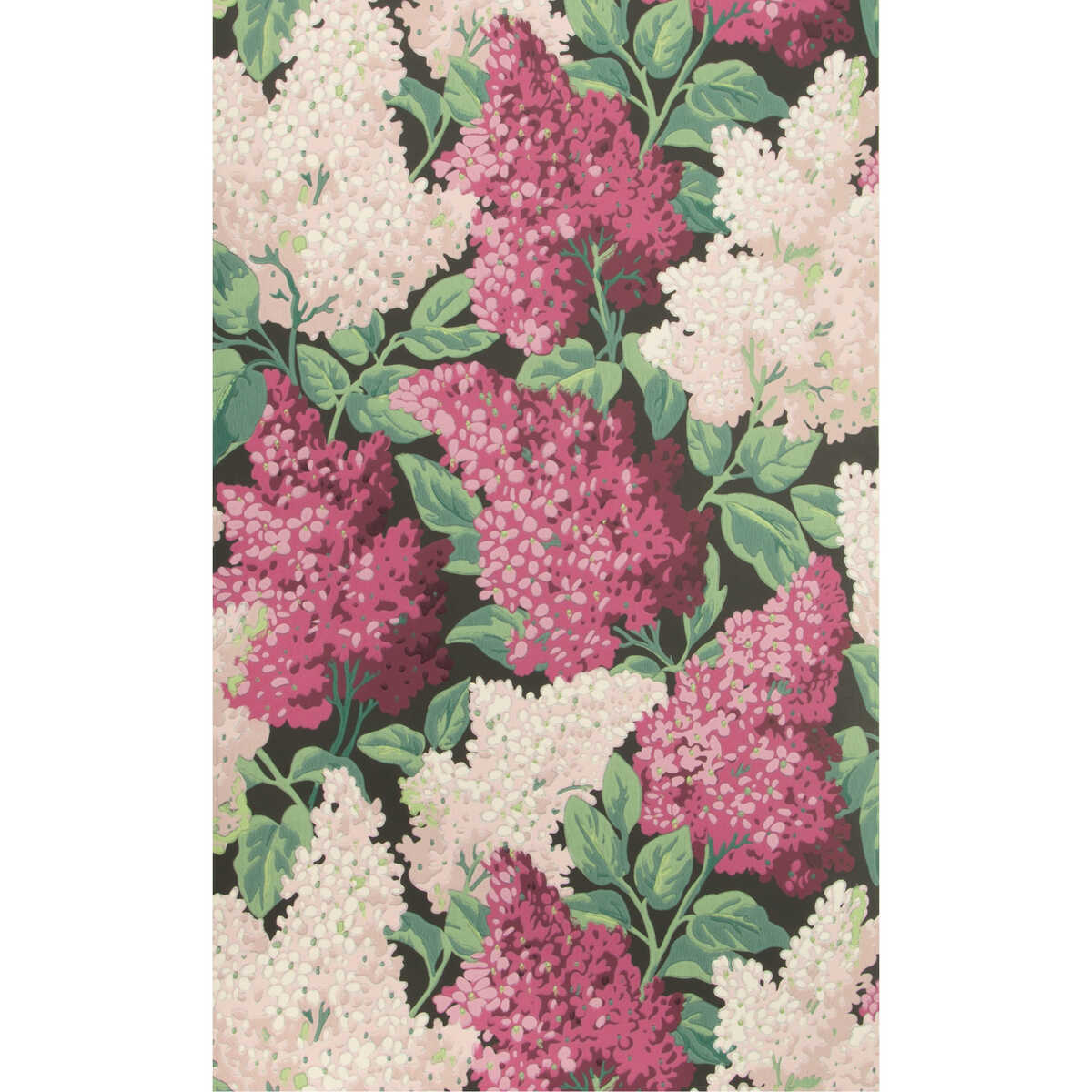 Lilac - Magenta/Blush/Charco - Cole & Son Wallpaper