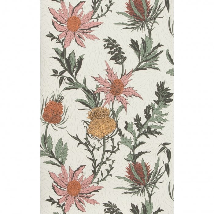 Thistle - A Pink/Orange/Parch - Cole & Son Wallpaper