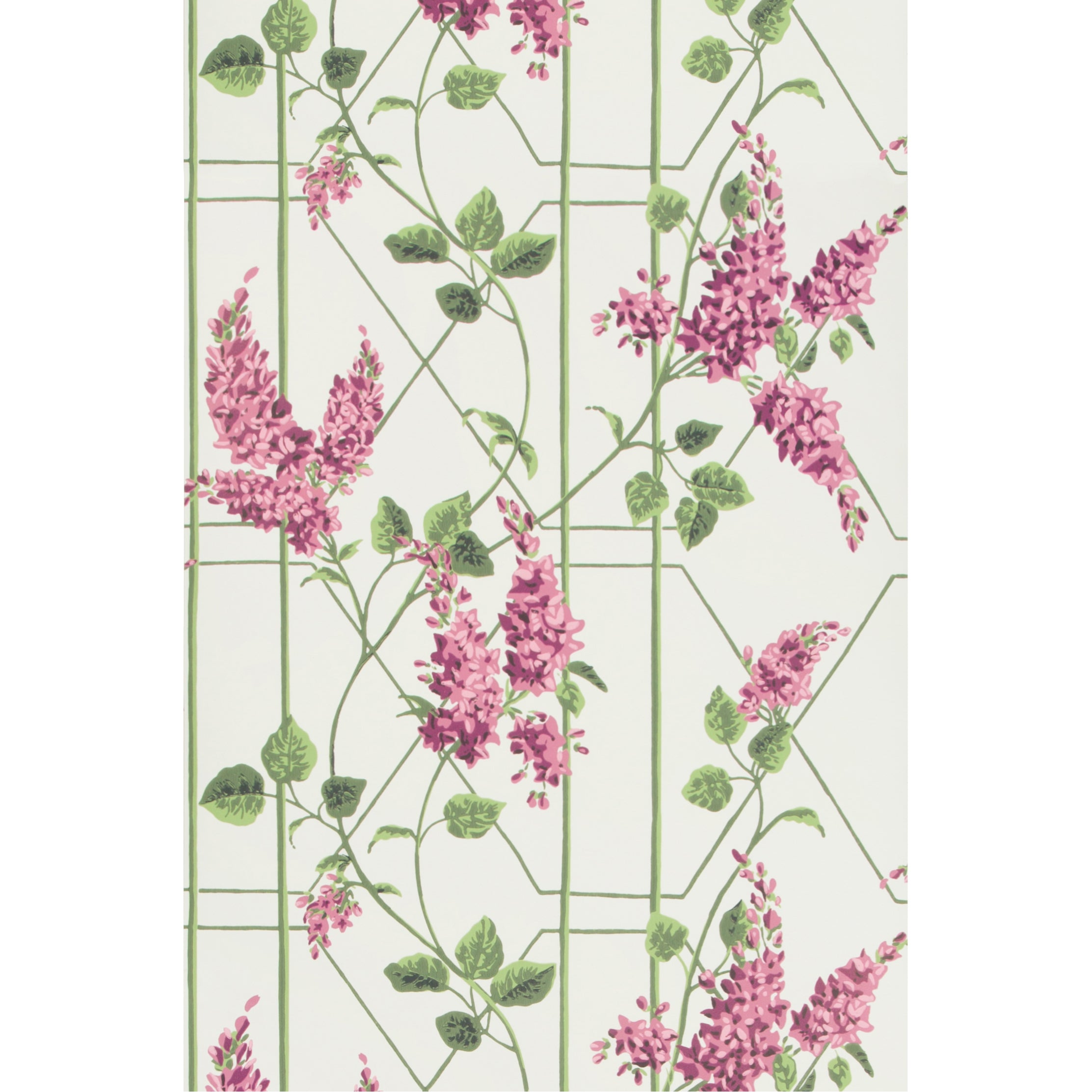 Wisteria - Magenta/Green/Wh - Cole & Son Wallpaper