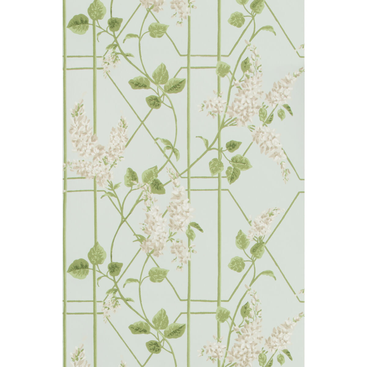 Wisteria - Stone/Olive/D Egg - Cole & Son Wallpaper
