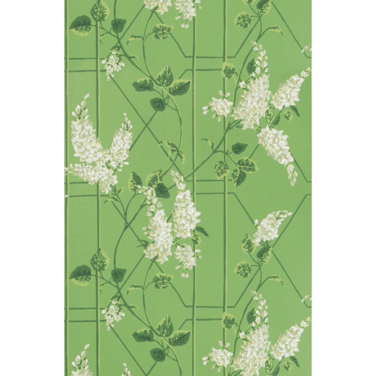 Wisteria - Sage/Leaf Green