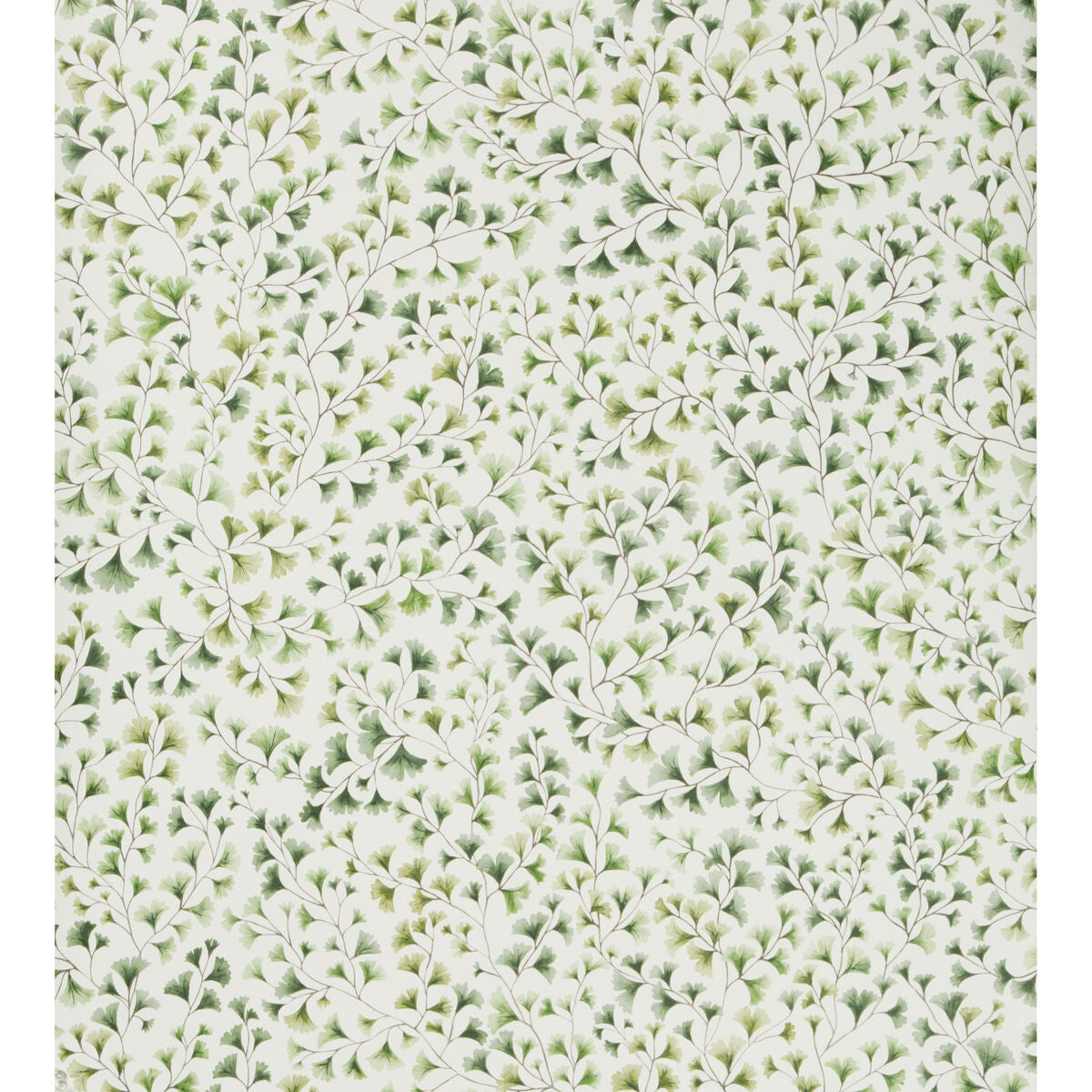 Maidenhair - Olive - Cole & Son Wallpaper