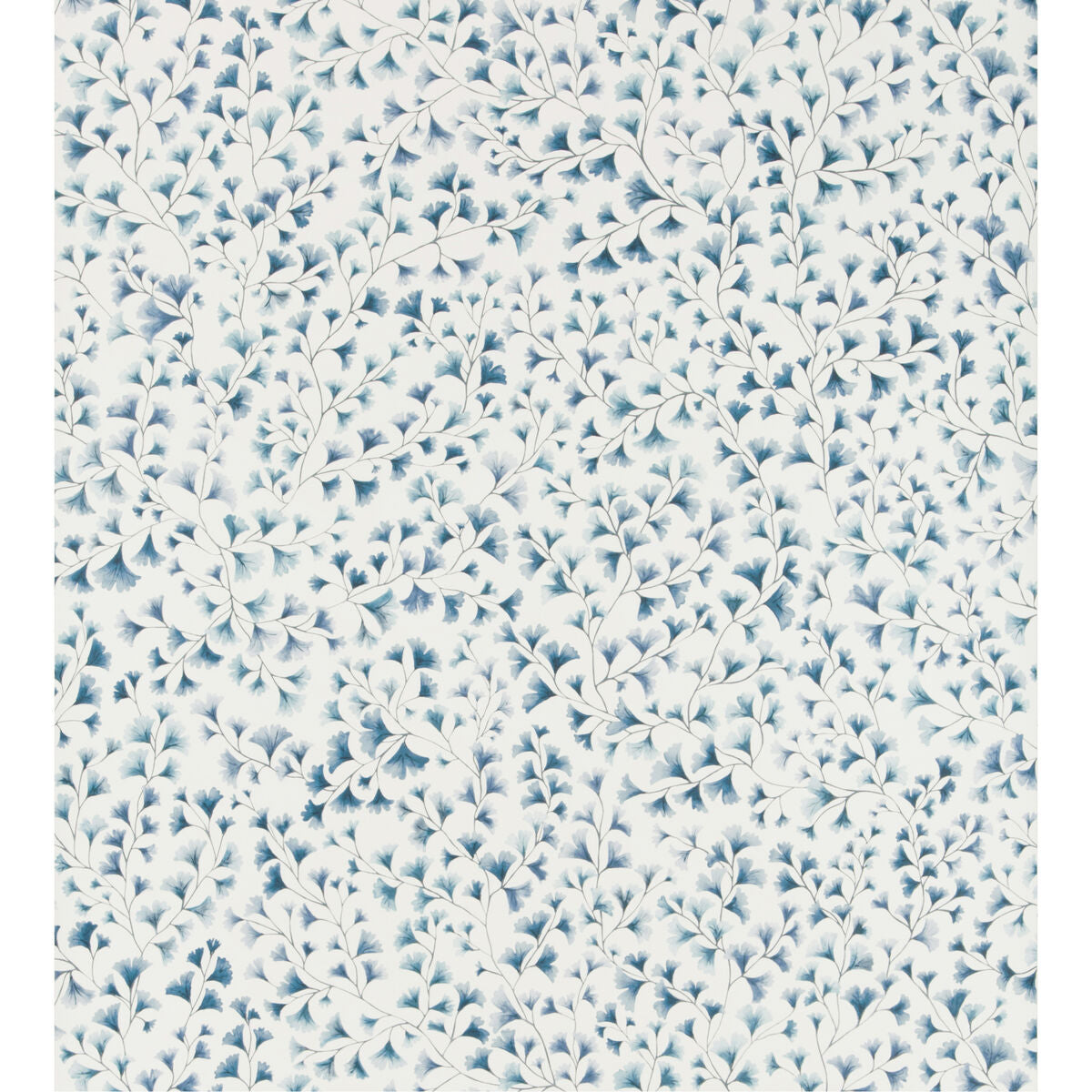 Maidenhair - China Blue