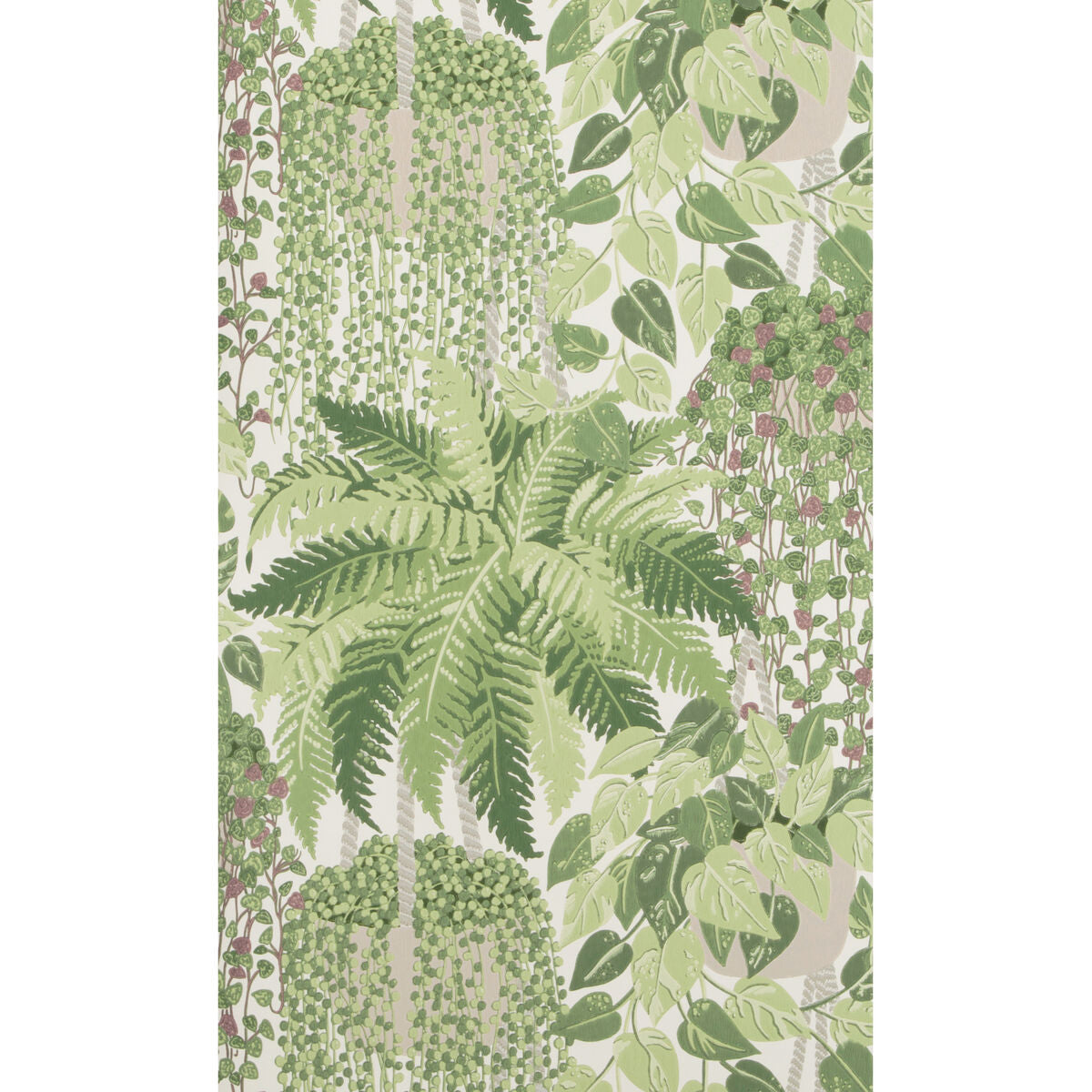 Fern - Leaf Green And Olive