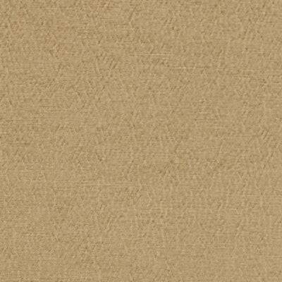 anshu-designers-guild-fdg2896-25