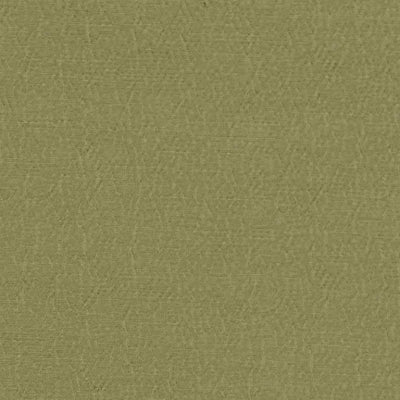 anshu-designers-guild-fdg2896-40