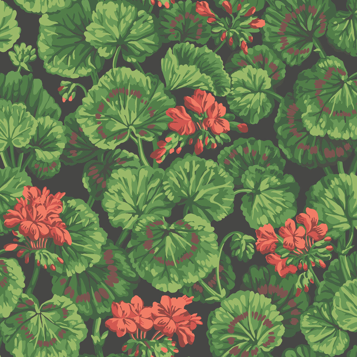 Geranium - Rouge & Leaf Greens On Black