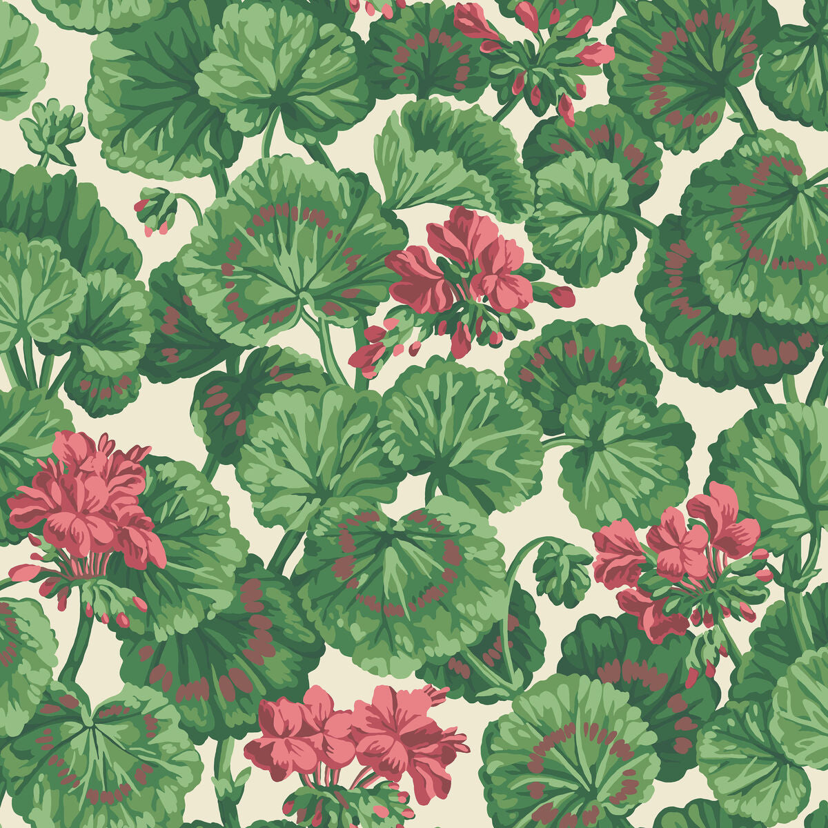 Geranium - Rose/Forest Grn On Parchment - Cole & Son Wallpaper