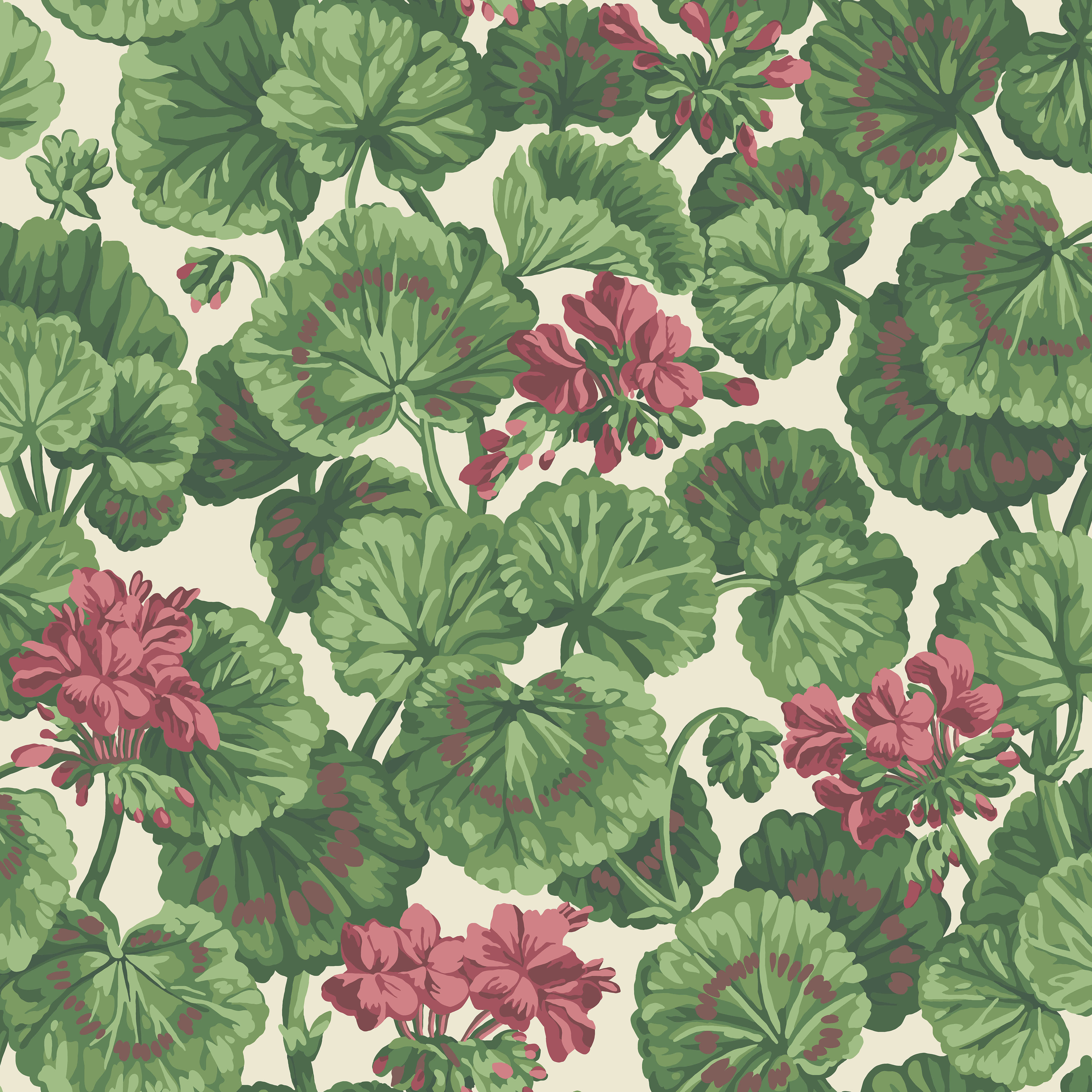 Geranium - Rose/Forest Grn On Parchment - Cole & Son Wallpaper