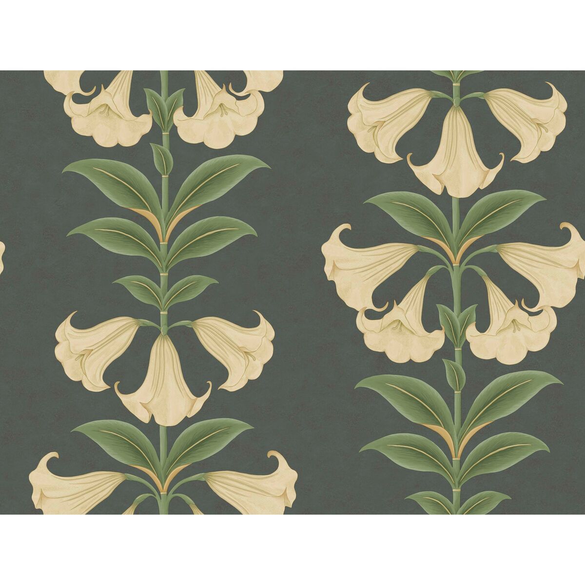 Angels Trumpet - Cream/Olive Green/Charcoal - Cole & Son Wallpaper