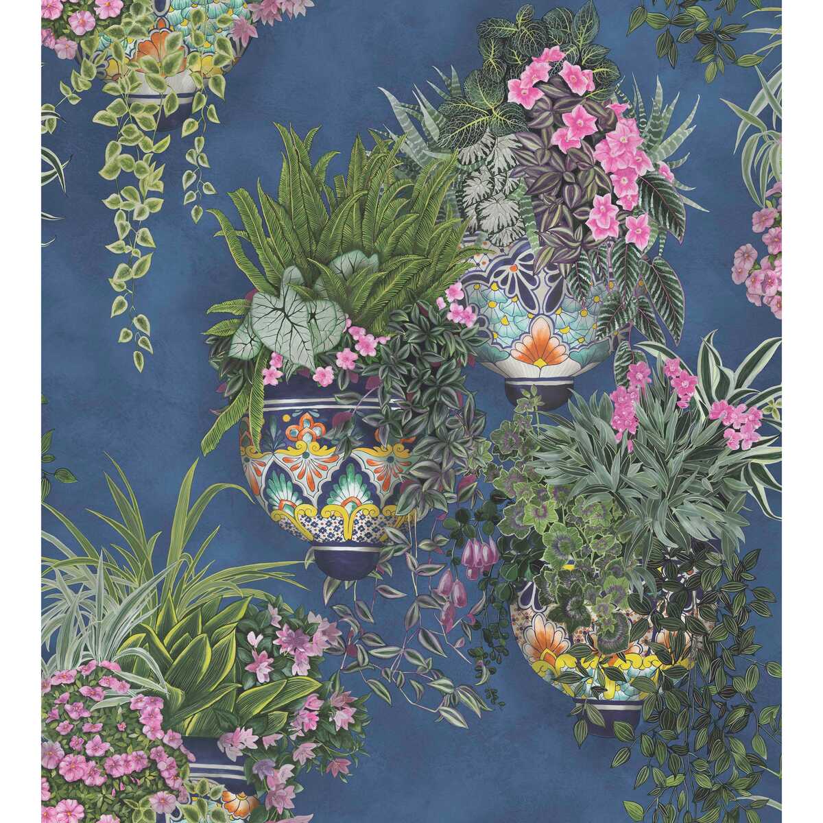Talavera Wp - Fuchsia/Forest Green/Cerulean Sky - COLE & SON Wallpaper