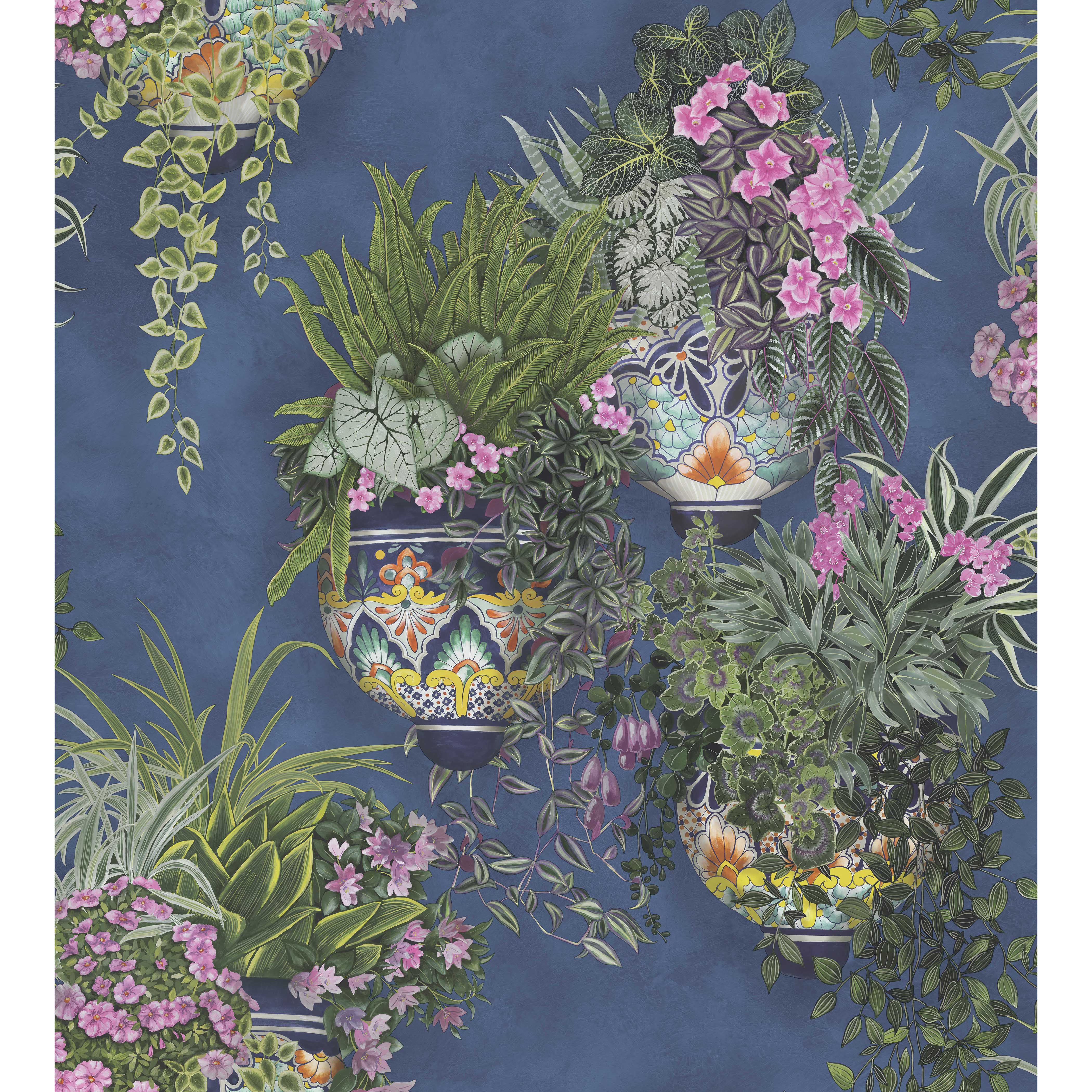 Talavera Wp - Fuchsia/Forest Green/Cerulean Sky - Cole & Son Wallpaper