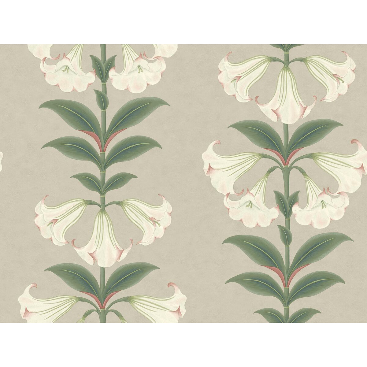 Angels Trumpet - Chalk & Sage On Stone - Cole & Son Wallpaper