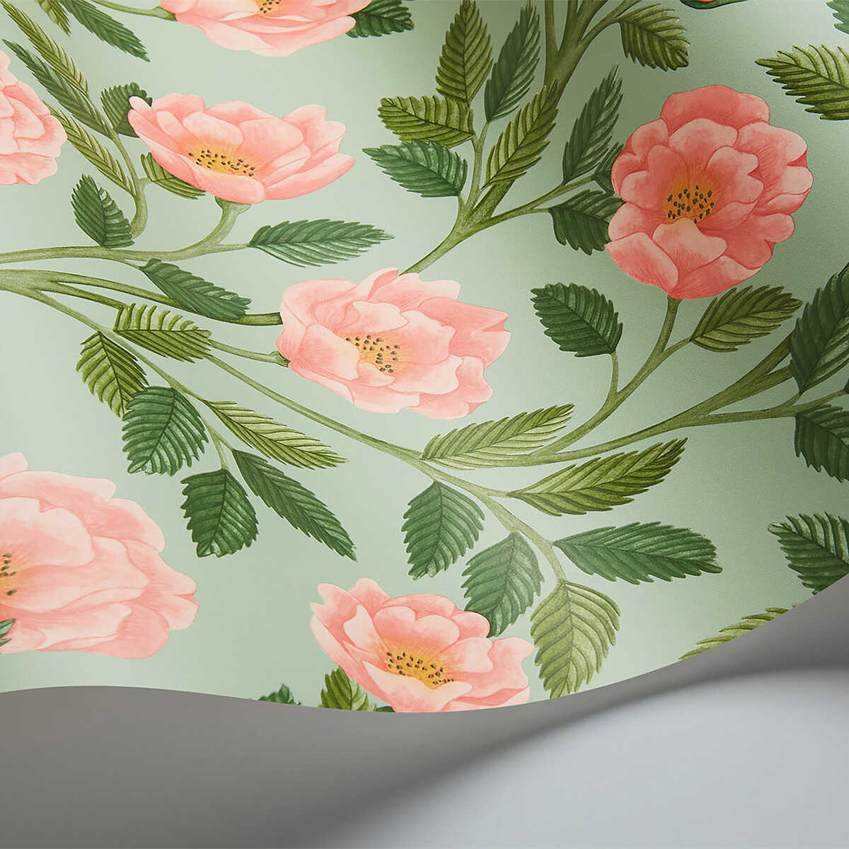 Hampton Roses - R&Lgrn/Degg - COLE & SON Wallpaper
