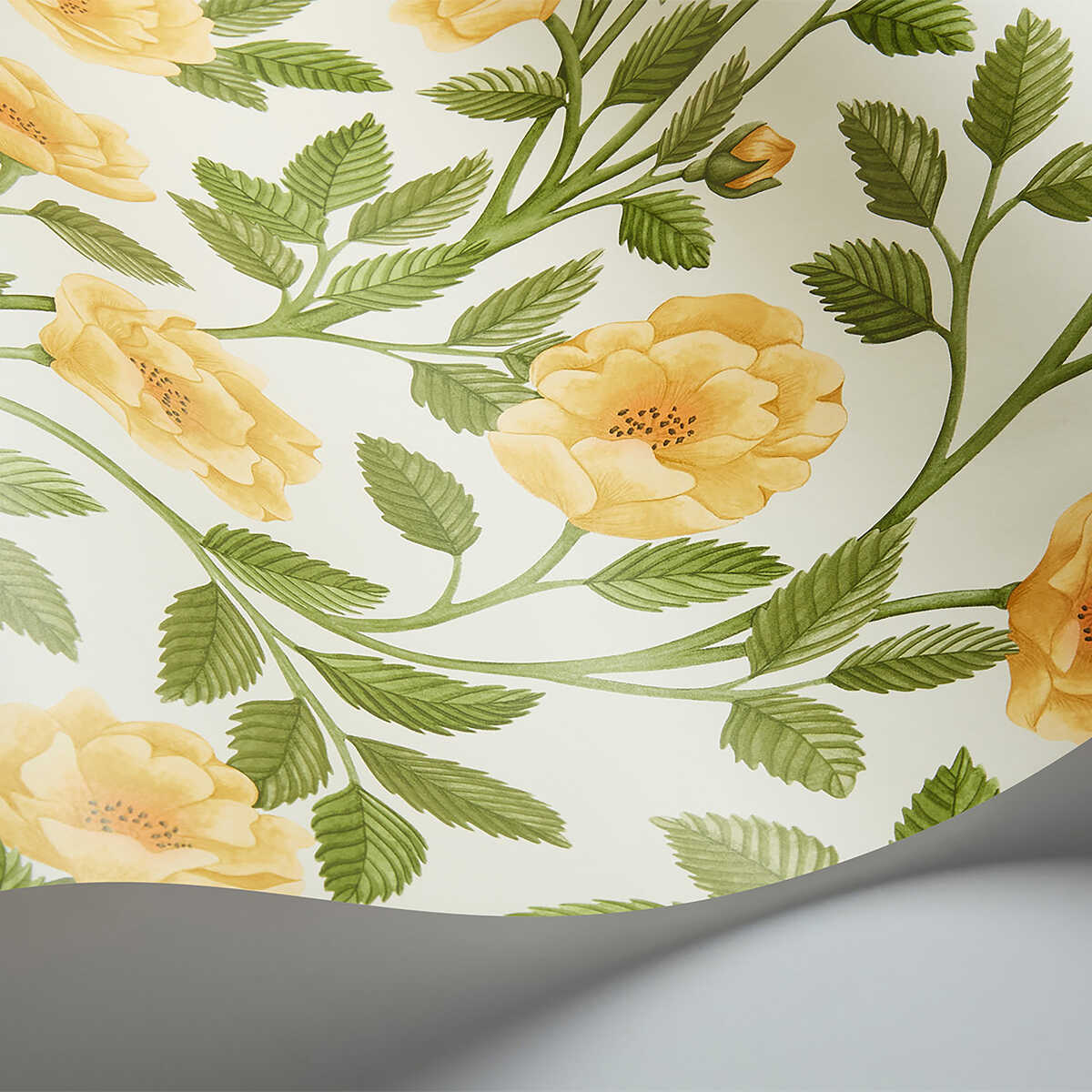 Hampton Roses - Mrg&Ogrn/Wh - COLE & SON Wallpaper