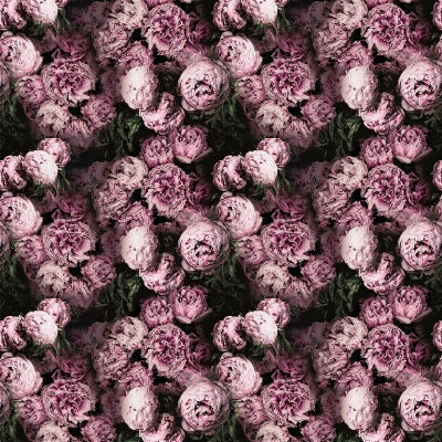 vespertina-designers-guild-fdg2928-01