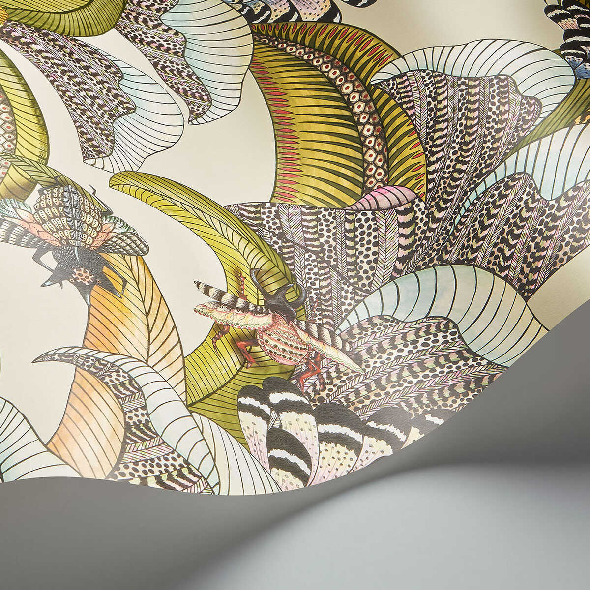 Hoopoe Leaves - Olive/Chart/Fuchsia On Cream - COLE & SON Wallpaper