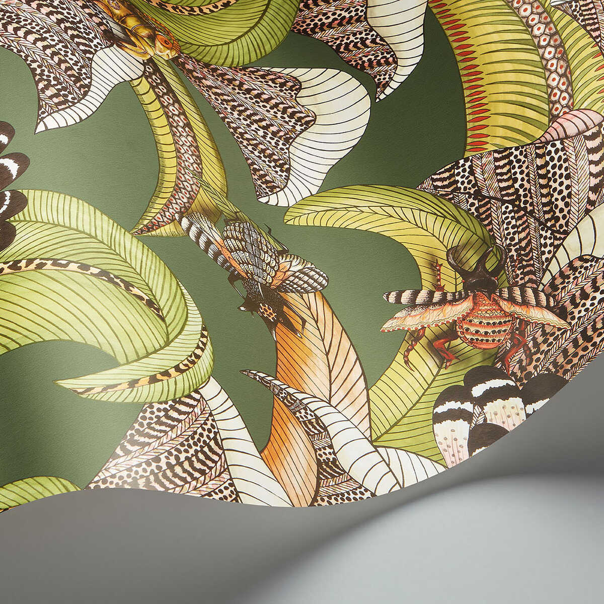 Hoopoe Leaves - Spring Green And Coral - COLE & SON Wallpaper