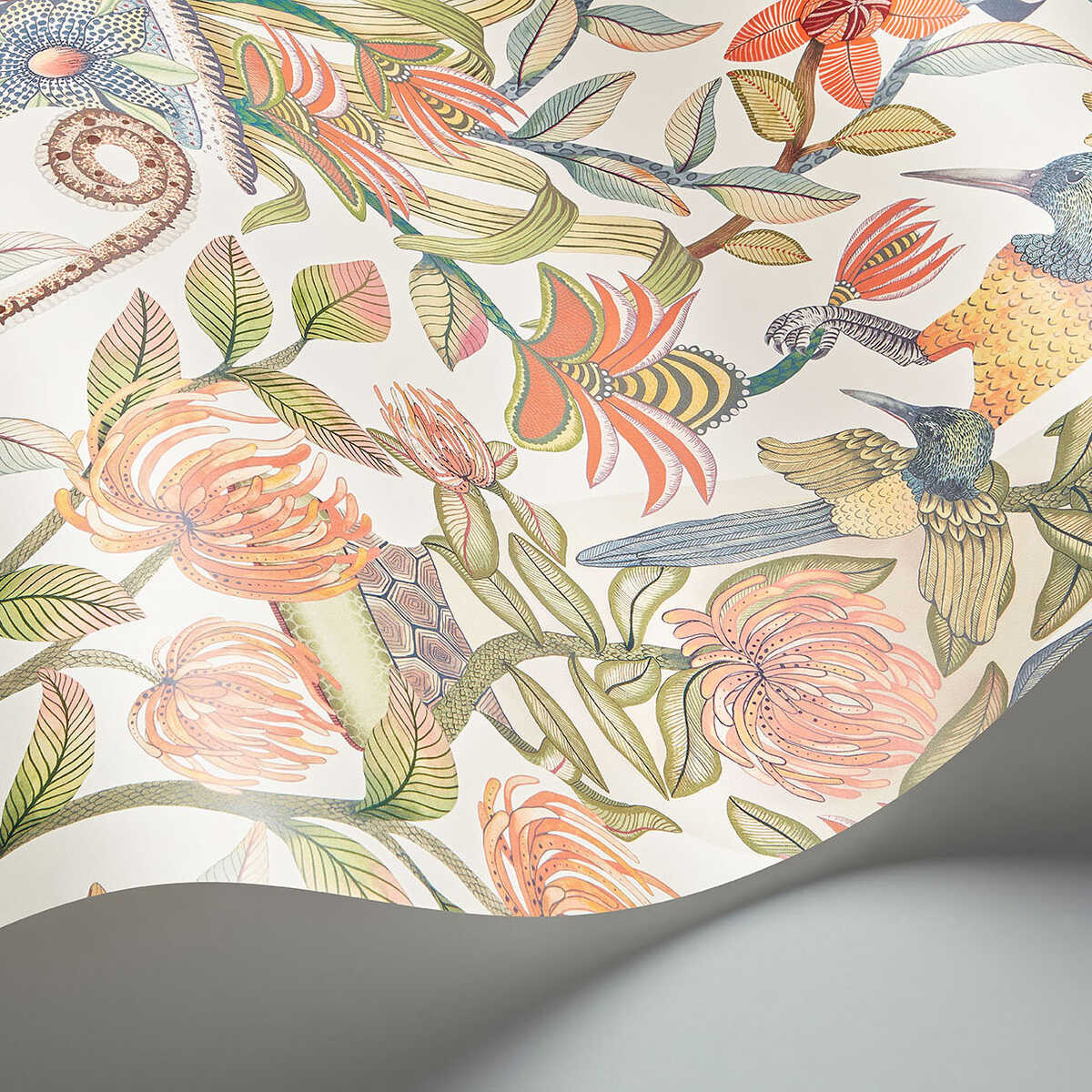 Protea Garden - Ogrn&Tngrn/Wht - COLE & SON Wallpaper