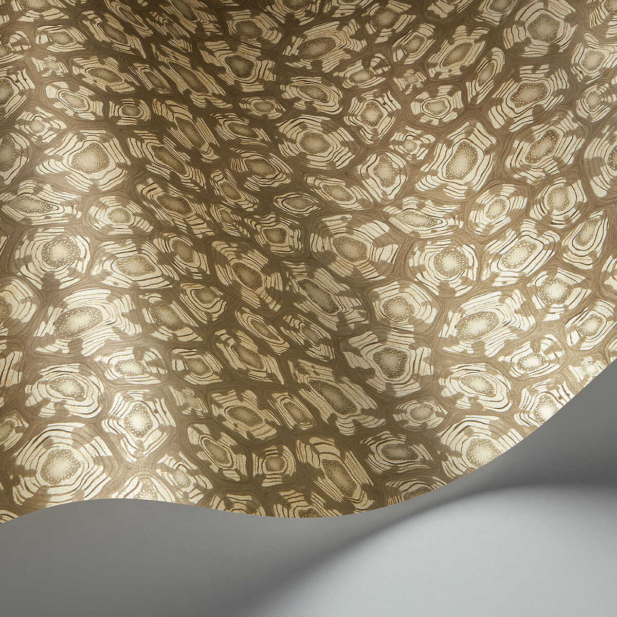 Savanna Shell - Gilver - COLE & SON Wallpaper