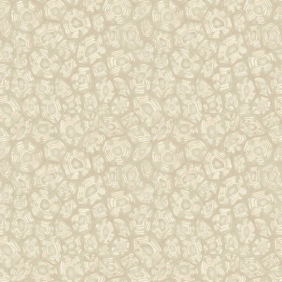 Savanna Shell - Parchment