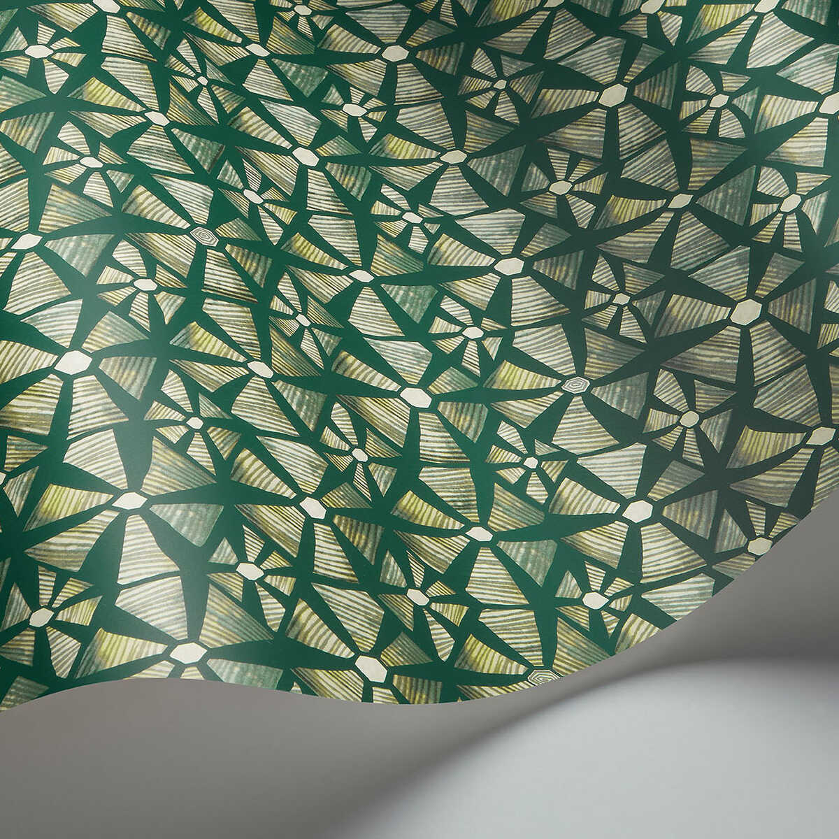 Kalahari - Fr Grn&Rcngcr Grn - COLE & SON Wallpaper